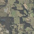 Three-vehicle crash with injury on County Highway 38