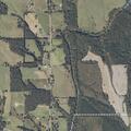 78-year-old woman with severe back pain at County Hwy 35