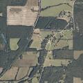 Reports of intoxicated person harassing neighbors