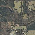 Brush fire spreading in woods near Enon Church Road