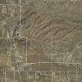 Person sick near Alida Avenue in Yucca Valley