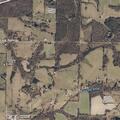 81-year-old woman reports chest pains in Blountsville