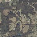 Woman with chest pain reported near County Road 66 in Arley