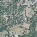 Female checked after dog fight near Marion