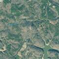 Person found unconscious at wilderness camp road