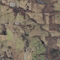 Woman with abdominal pain and slurred speech in Holly Pond