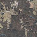 78-year-old male dizzy after fall at County Road 36