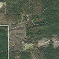 Person near Tammy Lane in Newhope has abdominal pain