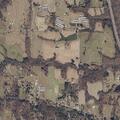 Woman vomiting and nauseous near Co Rd 1223 in Vinemont