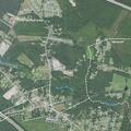 Person sick near Raynor Lane in Leland
