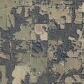 Camper fire near County Road 1856 in Baileyton area
