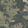 84-year-old female disoriented and sick at Thomason Road