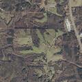Report of phone theft at Vinemont residence