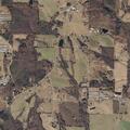 66-year-old female falls, needs assistance in Fairview