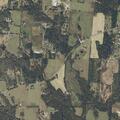Person having seizure near Teal Road, Albertville, AL