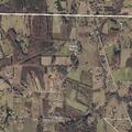 63-year-old woman having panic attack in Baileyton
