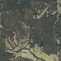 Deputies check vehicle at rural driveway
