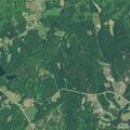 Man collapses near Dillinger Road but remains conscious