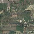 Stray dogs reportedly kill animals at Broken Bow Lane