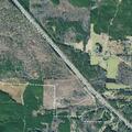 Person unresponsive under tree at Pine Valley Drive