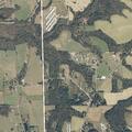 Domestic disturbance at Crossville residence