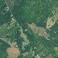 91-year-old man falls near Broad River Road