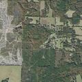 58-year-old man crushed under limb in Prattsville