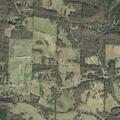 Person with allergic reaction near Caddo Gap