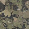 65-year-old falls with possible fractured back in Geraldine