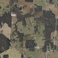 Man in and out of consciousness at County Road 329