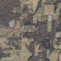 Deputies serve warrant at Highway 55 address