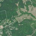 Possible fall reported near Bryant Street, Winnsboro