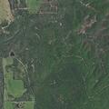 Person hearing voices threatens self at Big Canyon Road