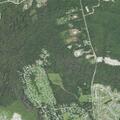 73-year-old female with possible broken ribs in Rocky Point