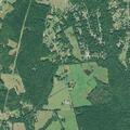 Man hit by bull suffers seizure in Starr, SC