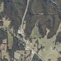 19-year-old female with altered mental status by highway