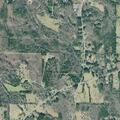 10-year-old male staggering and weak in Armuchee