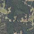 Person with high blood sugar near County Road 204