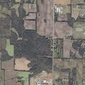 92-year-old woman falls near Danville Road