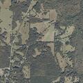 Multiple small grass fires near structure