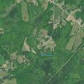 Vehicle hits deer on Highway 252 in Ware Shoals