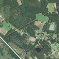 Domestic disturbance on Butler Road