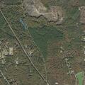 Person with leg and toe discoloration near Budwood Avenue