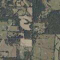 Person reported as high near Guntown