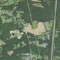 Car hits deer on US 117 near Newells Hollow