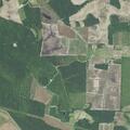 Fall causing traumatic back injury near Clarkton