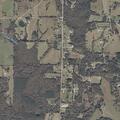 Juvenile interference reported near County Road 333
