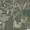 Dogs chase and attack animals; caller treated for breathing issues