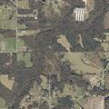 Residential burglary alarm near County Road (number withheld) in Rainsville