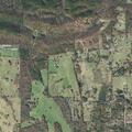 Person reported sick near Ragweed Valley Road